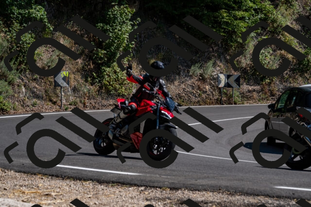 202508091520-_DSC2340_d2_