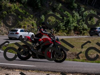 202508091520-_DSC2342_d2_