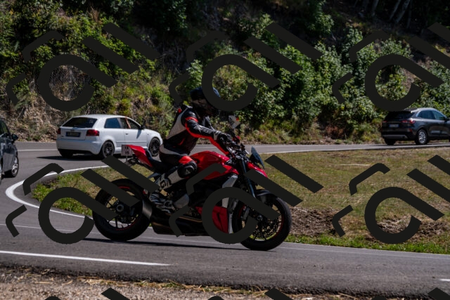 202508091520-_DSC2342_d2_