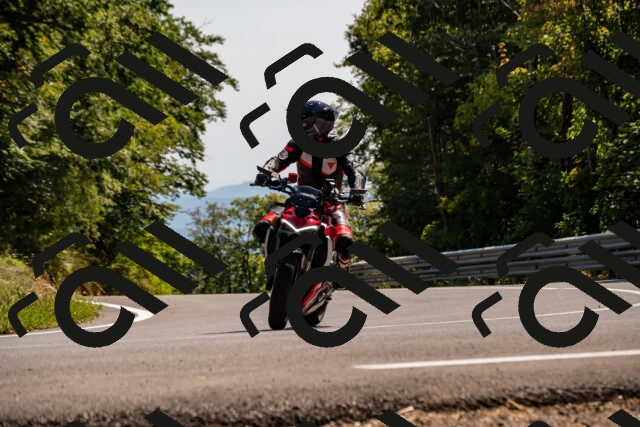 202508091521-_DSC2344_d2_