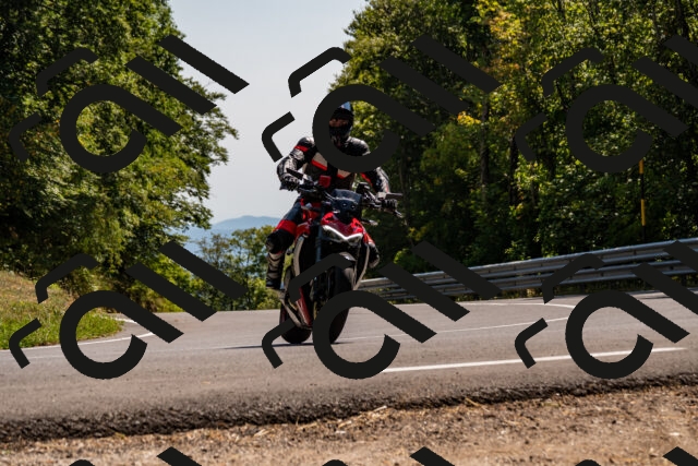 202508091521-_DSC2345_d2_