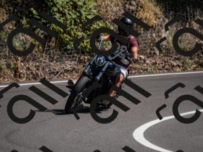 202508091523-_DSC2350_d2_