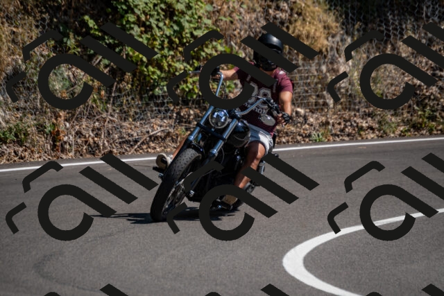 202508091523-_DSC2350_d2_