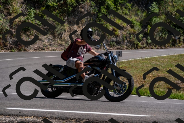 202508091523-_DSC2352_d2_