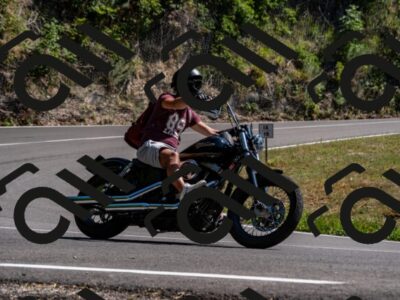 202508091523-_DSC2352_d2_