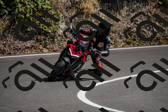 202508091524-_DSC2353_d2_