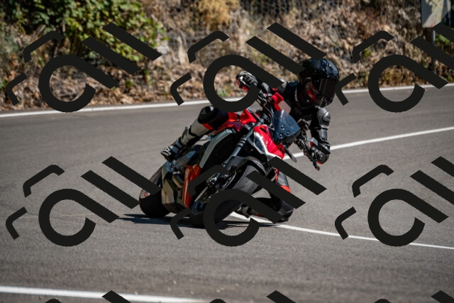 202508091524-_DSC2354_d2_