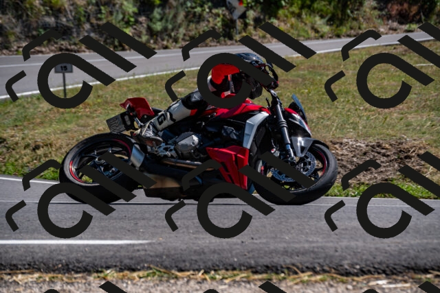 202508091524-_DSC2356_d2_