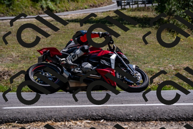 202508091524-_DSC2357_d2_