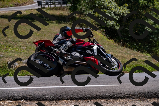 202508091524-_DSC2358_d2_