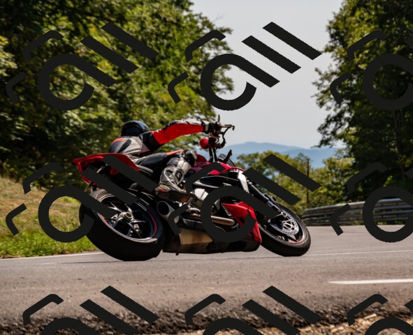 202508091524-_DSC2359_d2_