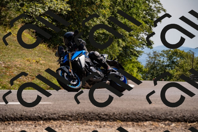 202508091527-_DSC2365_d2_