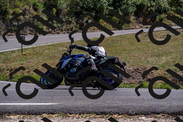 202508091527-_DSC2367_d2_