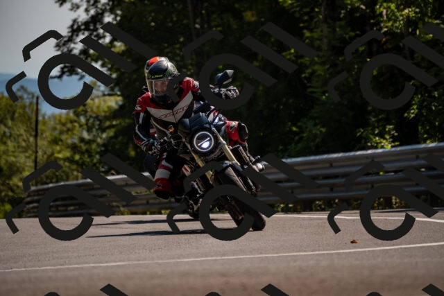 202508091527-_DSC2369_d2_