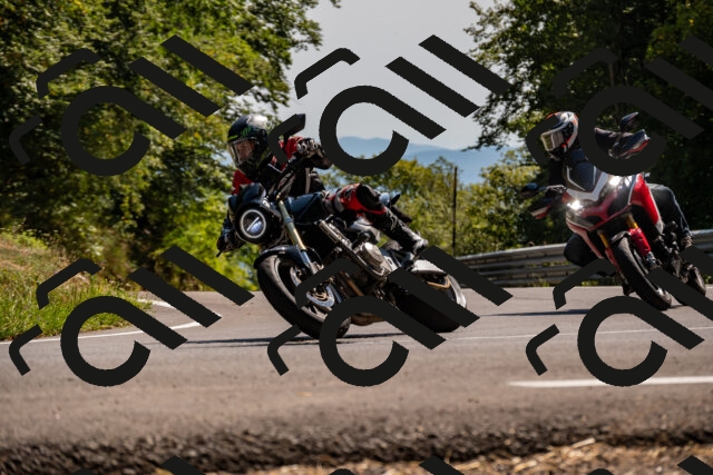 202508091527-_DSC2370_d2_