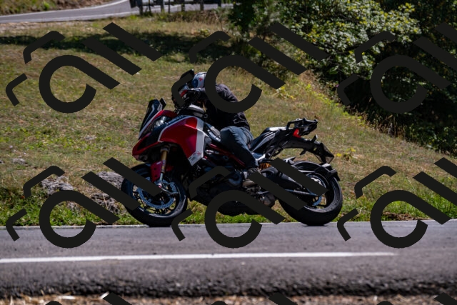 202508091527-_DSC2372_d2_