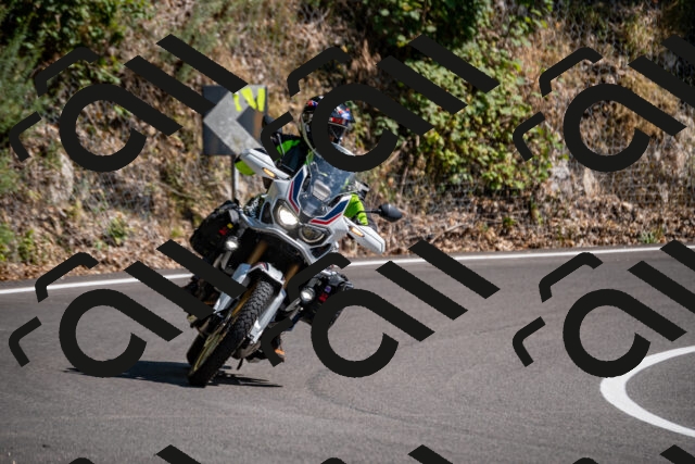 202508091531-_DSC2383_d2_