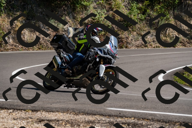 202508091531-_DSC2384_d2_