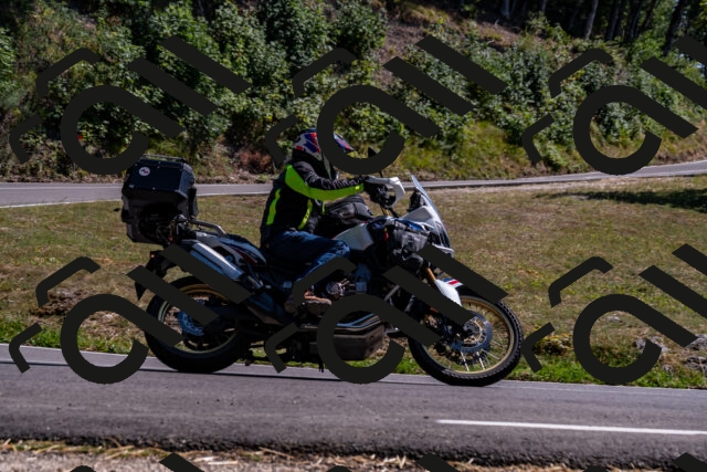 202508091531-_DSC2385_d2_