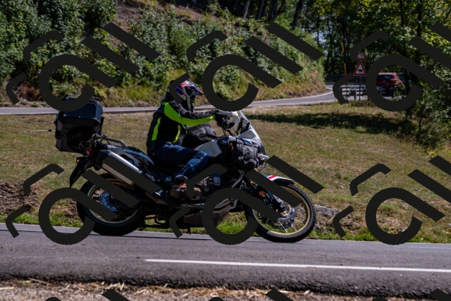 202508091531-_DSC2386_d2_