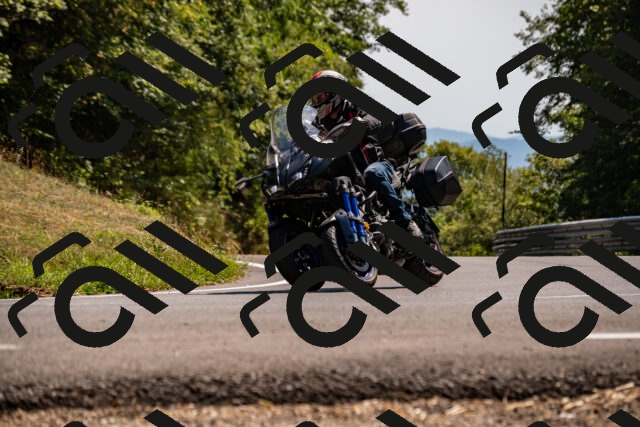 202508091533-_DSC2387_d2_