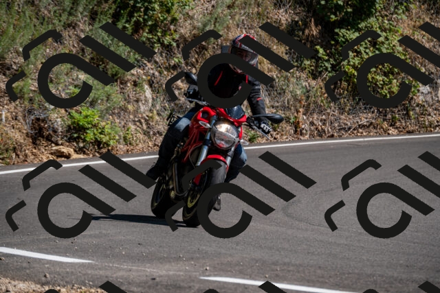 202508091536-_DSC2390_d2_