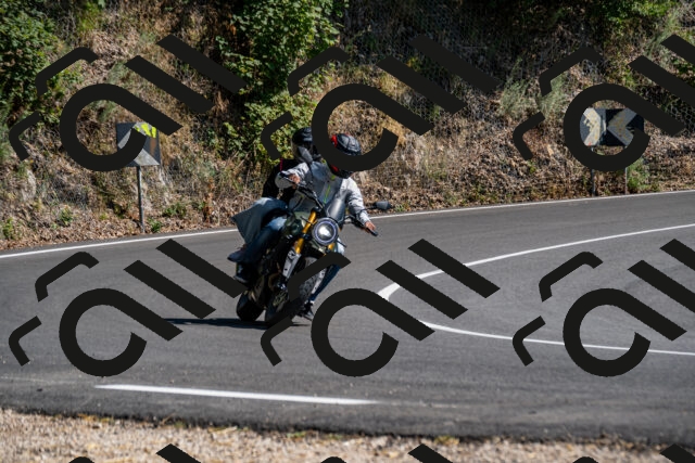 202508091536-_DSC2394_d2_