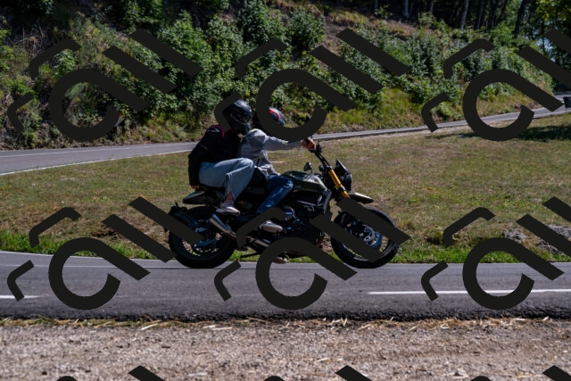 202508091536-_DSC2395_d2_