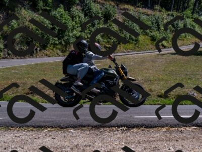 202508091536-_DSC2395_d2_