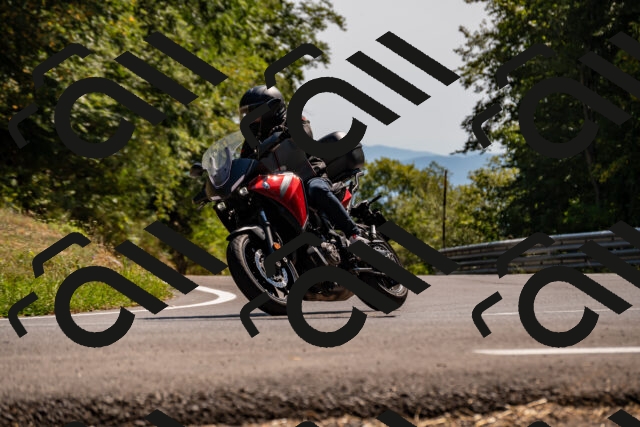 202508091536-_DSC2396_d2_