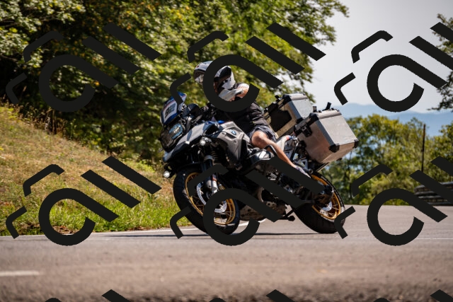 202508091537-_DSC2398_d2_