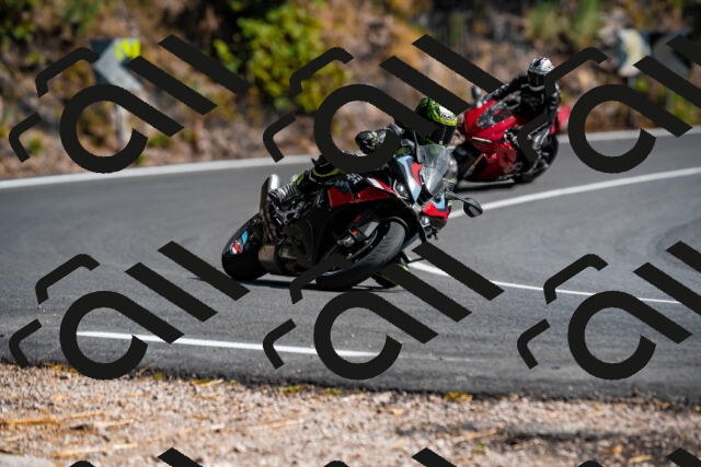 202508091542-_DSC2403_d2_