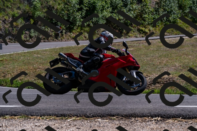 202508091542-_DSC2409_d2_