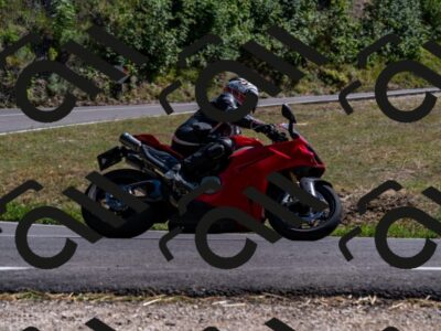 202508091542-_DSC2409_d2_