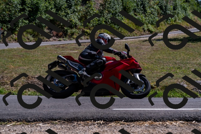 202508091542-_DSC2410_d2_