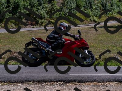 202508091542-_DSC2410_d2_