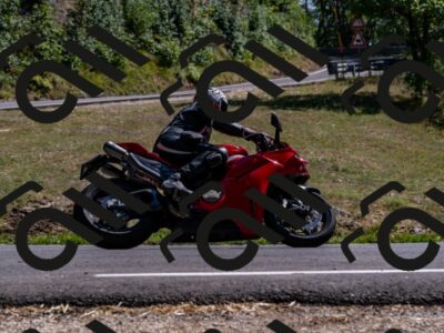 202508091542-_DSC2411_d2_