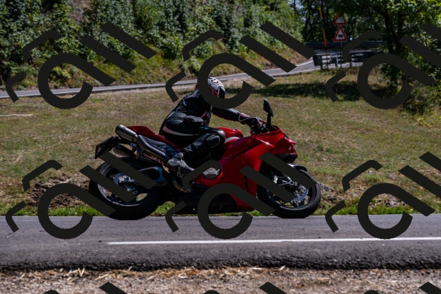 202508091542-_DSC2411_d2_