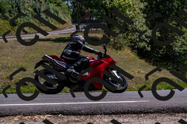 202508091542-_DSC2412_d2_