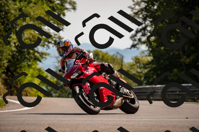 202508091550-_DSC2421_d2_