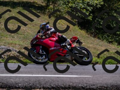 202508091550-_DSC2422_d2_