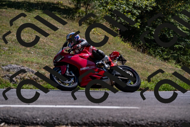 202508091550-_DSC2422_d2_