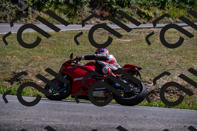 202508091550-_DSC2423_d2_