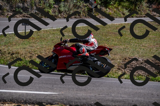 202508091550-_DSC2424_d2_