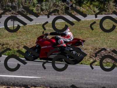 202508091550-_DSC2424_d2_