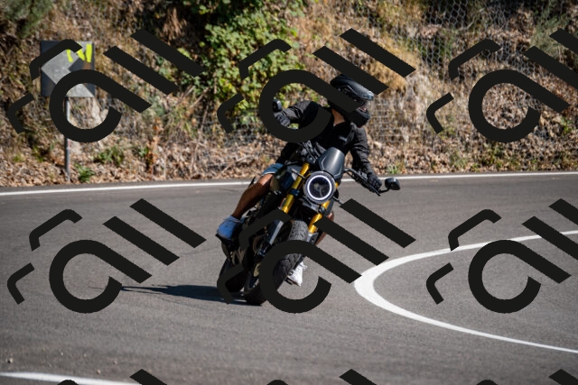 202508091555-_DSC2433_d2_