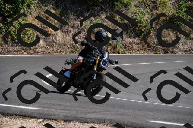 202508091555-_DSC2434_d2_