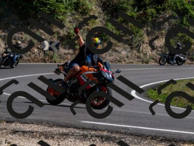 202508091555-_DSC2439_d2_