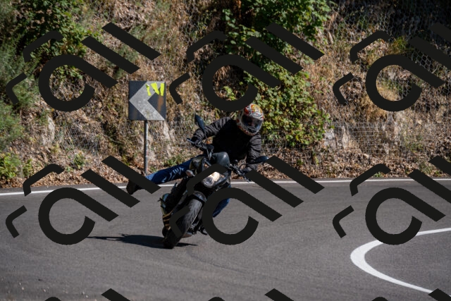 202508091555-_DSC2440_d2_