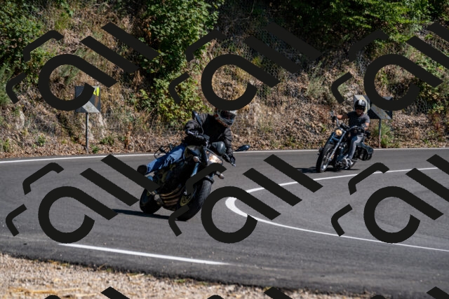 202508091555-_DSC2441_d2_